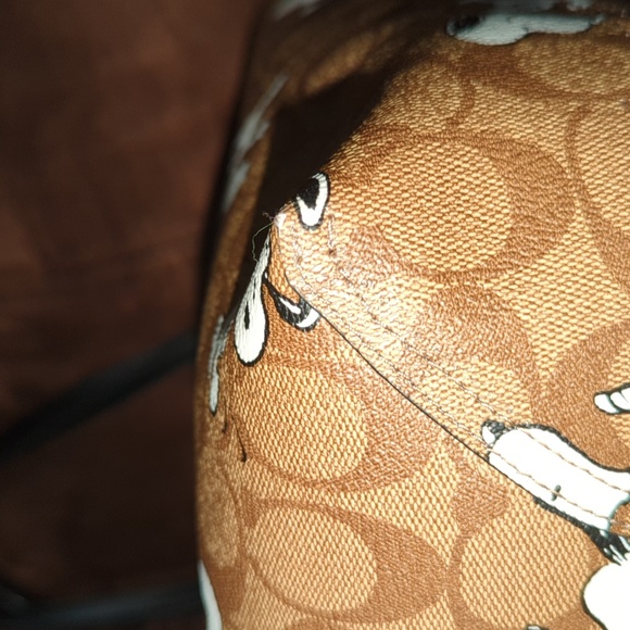 Coach × Peanuts Snoopy Tote - Picture 6 of 10